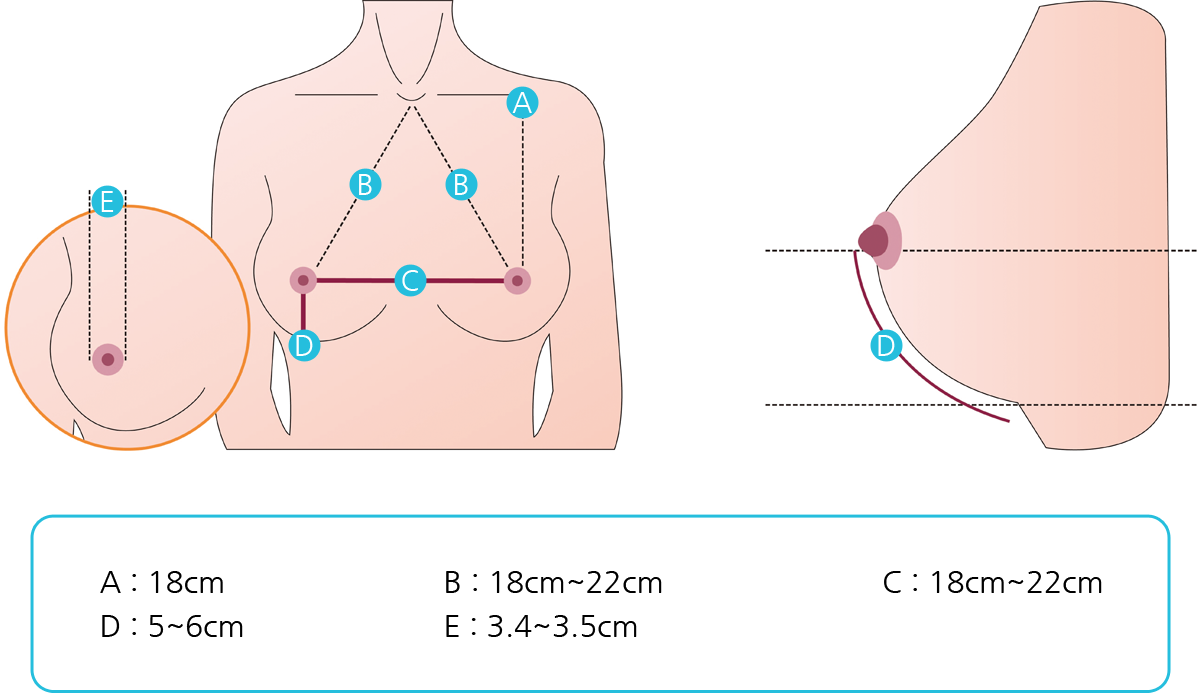 라봄성형외과의원