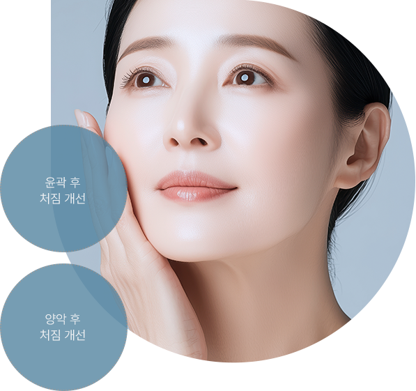 프로필